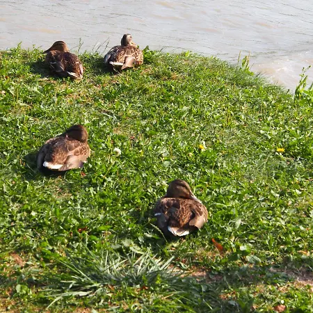 Laszlo Nyaralohaz Apartamento